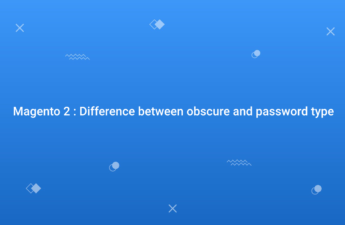 Magento 2 Difference between obscure and password type