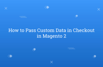How to Pass Custom Data in Checkout in Magento 2