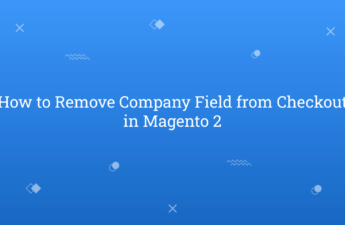 How to Remove Company Field from Checkout in Magento 2