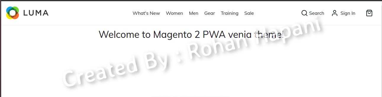 Output of Custom Router in Magento 2 PWA